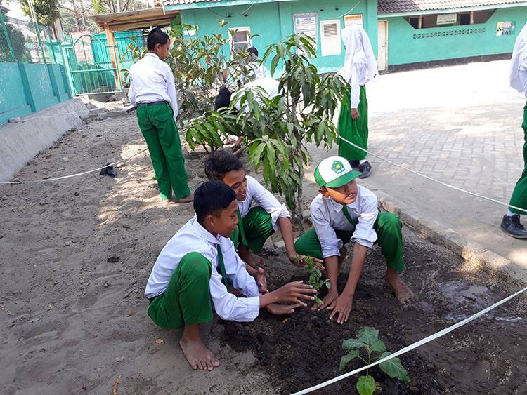 Praktek menanam pohon di kebun MI.MU